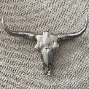 Urban Barn Decorative Bull Skull